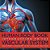 Human Body Book Introduction To The Vascular System Children's Anatomy & Physiology Edition-.. - Imagem 1