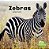 Zebras-.. - Imagem 1