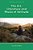 The Art, Literature And Music Of Solitude-.. - Imagem 1
