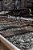 Train Of Thought: Struck By The Muse Literary Magazine 2014-15-.. - Imagem 1