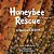 Honeybee Rescue: A Backyard Drama-.. - Imagem 1
