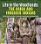 Life In The Woodlands: The Haida And Iroquois Indians Social Studies Grade 3 Children's Geography & Cultures Books-.. - Imagem 1