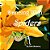 Dancing With Spiders-.. - Imagem 1