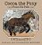 Cocoa The Pony: Found His Path-.. - Imagem 1
