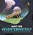 What Are Invertebrates? Animal Science Book Grade 3 Children's Zoology Books-.. - Imagem 1