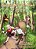 Poppy And Graham's Quest For Tenacity-.. - Imagem 1