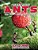 Ants Do Your Kids Know This?: A Children's Picture Book-.. - Imagem 1