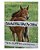 Colts And Fillies: Eal For Children-.. - Imagem 1