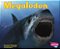 Megalodon-.. - Imagem 1
