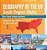 Geography Of The US - South Region States (Texas, Florida, Delaware And More) Geography For Kids - US States 5Th Grade Social Studies-.. - Imagem 1