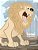 Leoni Libro Da Colorare 2-.. - Imagem 1