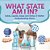 What State Am I In? Solids, Liquids, Gases And States Of Matter Understanding Atoms Grade 6-8 Physical Science-.. - Imagem 1