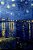Van Gogh Starry Night Over The Rhone-.. - Imagem 1