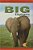 Big Elephants-.. - Imagem 1