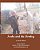 Isaha And The Donkey: Visit To A Farm Rearing Mini Donkeys-.. - Imagem 1