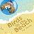 Birds At The Beach-.. - Imagem 1