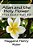 Allan And The Holy Flower: Allan Quatermain #9-.. - Imagem 1