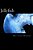 Jellyfish: A Fascinating Book Containing Jellyfish Facts, Trivia, Images & Memory Recall Quiz: Suitable For Adults & Children-.. - Imagem 1