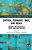 Critical Pedagogy, Race, And Media: Diversity And Inclusion In Higher Education Teaching-.. - Imagem 1