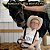 The Hemlock Little World's Fair 2016-.. - Imagem 1