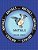 Anitails Volume Thirty: Learn About The Crested Coua, Blue Poison Dart Frog, Siamese Crocodile, Great Egret, Green Moray Eel, Sloth Bear, Thre-.. - Imagem 1