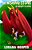 The Wishing Stone #2: Dragon Dilemma-.. - Imagem 1