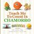 Teach Me To Count In Chamorro-.. - Imagem 1