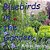 Bluebirds In The Garden-.. - Imagem 1