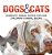 Dogs And Cats: Domestic Animal Books For Kids Children's Animal Books-.. - Imagem 1
