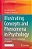 Illustrating Concepts And Phenomena In Psychology: A Teacher-Friendly Compendium Of Examples-.. - Imagem 1