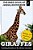 Giraffes: Towering Beauty Of The African Savanna-.. - Imagem 1