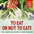 To Eat Or Not To Eat? The Vegetable Group - Food Pyramid: 2ND Grade Science Series-.. - Imagem 1