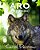 Aro: The Story Of A Mistreated Wolf Pup-.. - Imagem 1