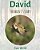 David: The Weasel's Story-.. - Imagem 1