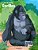 Livre De Coloriage Gorilles 1-.. - Imagem 1