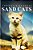 Sand Cats - Curious Kids Press: Kids Book About Animals And Wildlife, Children's Books 4-6-.. - Imagem 1