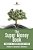 The Super Money Book: Finance 101 Lessons Kids Can't Miss Children's Money & Saving Reference-.. - Imagem 1