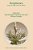 Peripheries: Syntactic Edges And Their Effects-.. - Imagem 1