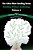 The Allen-Shaw Reading Room: Budding Writers Anthology Volume 1-.. - Imagem 1