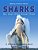 Sharks Do Your Kids Know This?: A Children's Picture Book-.. - Imagem 1