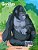Gorillas Coloring Book 1-.. - Imagem 1