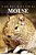 Mouse - Curious Kids Press-.. - Imagem 1