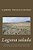 Laguna Salada: Cuatro Novelas Clásica De Miguel Ángel Morgado, El Defensor De Los Derechos Humanos En La Frontera México-Estados Unidos (1994-2002)-.. - Imagem 1