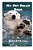 My Pet Polar Bear-.. - Imagem 1