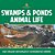 Swamps & Ponds Animal Life: 2ND Grade Geography Workbook Series-.. - Imagem 1