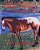 Colton Le Cowboy Et Son Cheval Perdu: Cowboy Colton And His Lost Horse, Edition Francaise-.. - Imagem 1