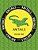 Anitails Volume One: Learn About The Komodo Dragon, Peregrine Falcon, Giant Panda, Rhinoceros Iguana, Zebrafish, Sword-Billed Hummingbird,-.. - Imagem 1