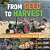 From Seed To Harvest - Children's Agriculture Books-.. - Imagem 1