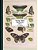 Vintage Prints: Butterflies: Vol. 3-.. - Imagem 1