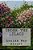 Under The Lilacs-.. - Imagem 1
